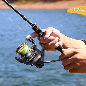 激レア トロピカルタイダルウェーブ　WCS ワールドチャンピオン イタリア語 激レア トロピカルタイダルウェーブ WCS ワールドチャンピオン